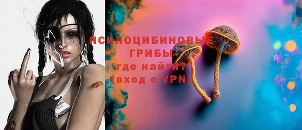 стаф Богородицк