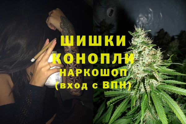 стаф Богородицк