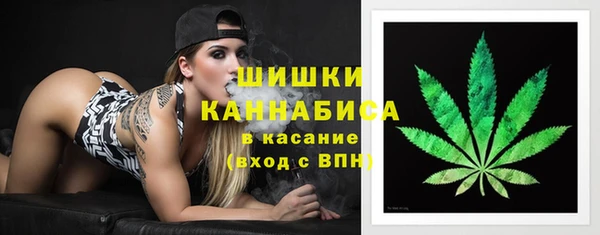 стаф Богородицк