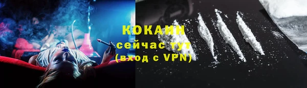 стаф Богородицк