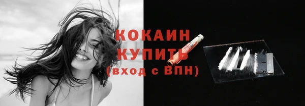 стаф Богородицк