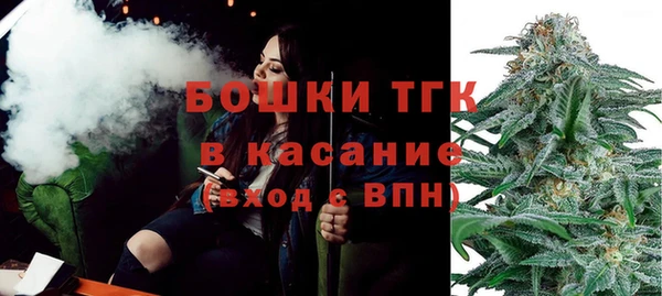 стаф Богородицк