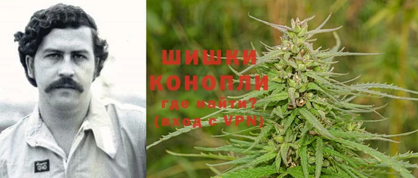 стаф Богородицк