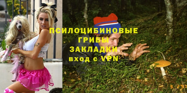 прущие крисы Богданович